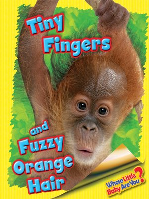 cover image of Tiny Fingers and Fuzzy Orange Hair (Orangutan)